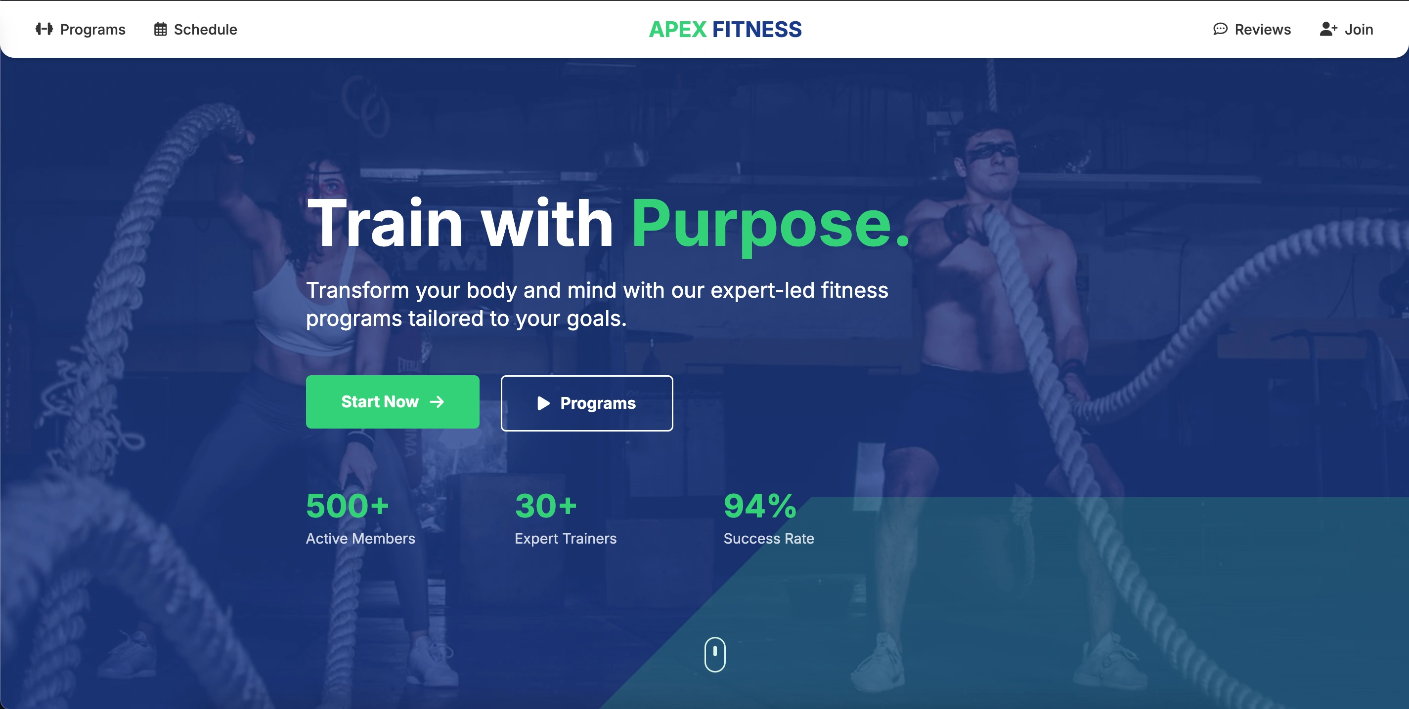 Doxelio Fitness Website - Professional Web Development Portfolio